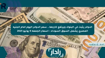 الدولار يثبت في البنوك ويرتفع خارجها.. سعر الدولار اليوم أمام الجنيه المصري يشعل السوق السوداء – أسعار الجمعة 6 يونيو 2025